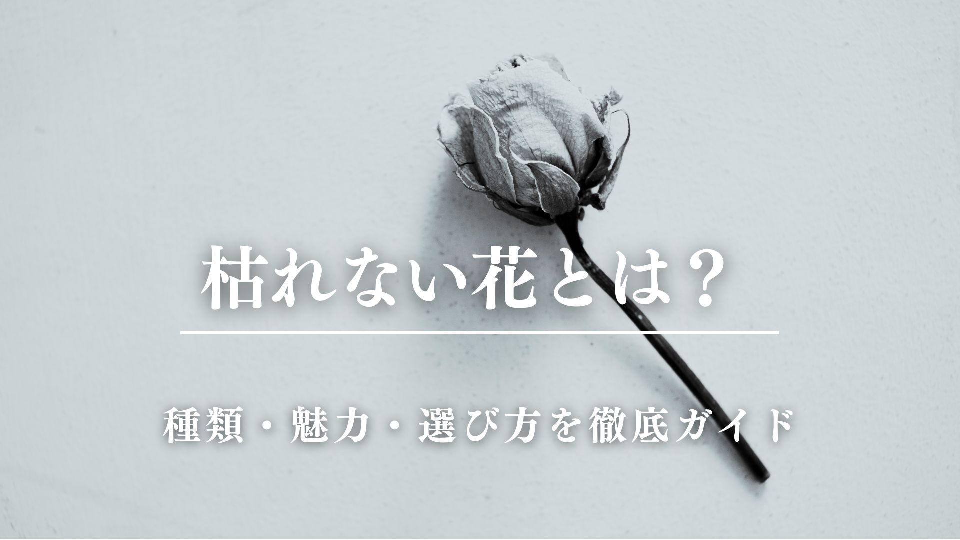 枯れない花とは？種類・魅力・選び方を徹底ガイド