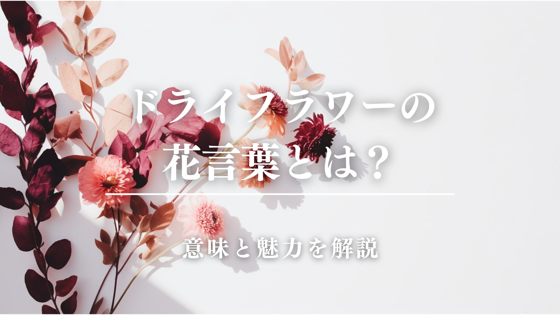 ドライフラワーの花言葉とは？意味と魅力を解説
