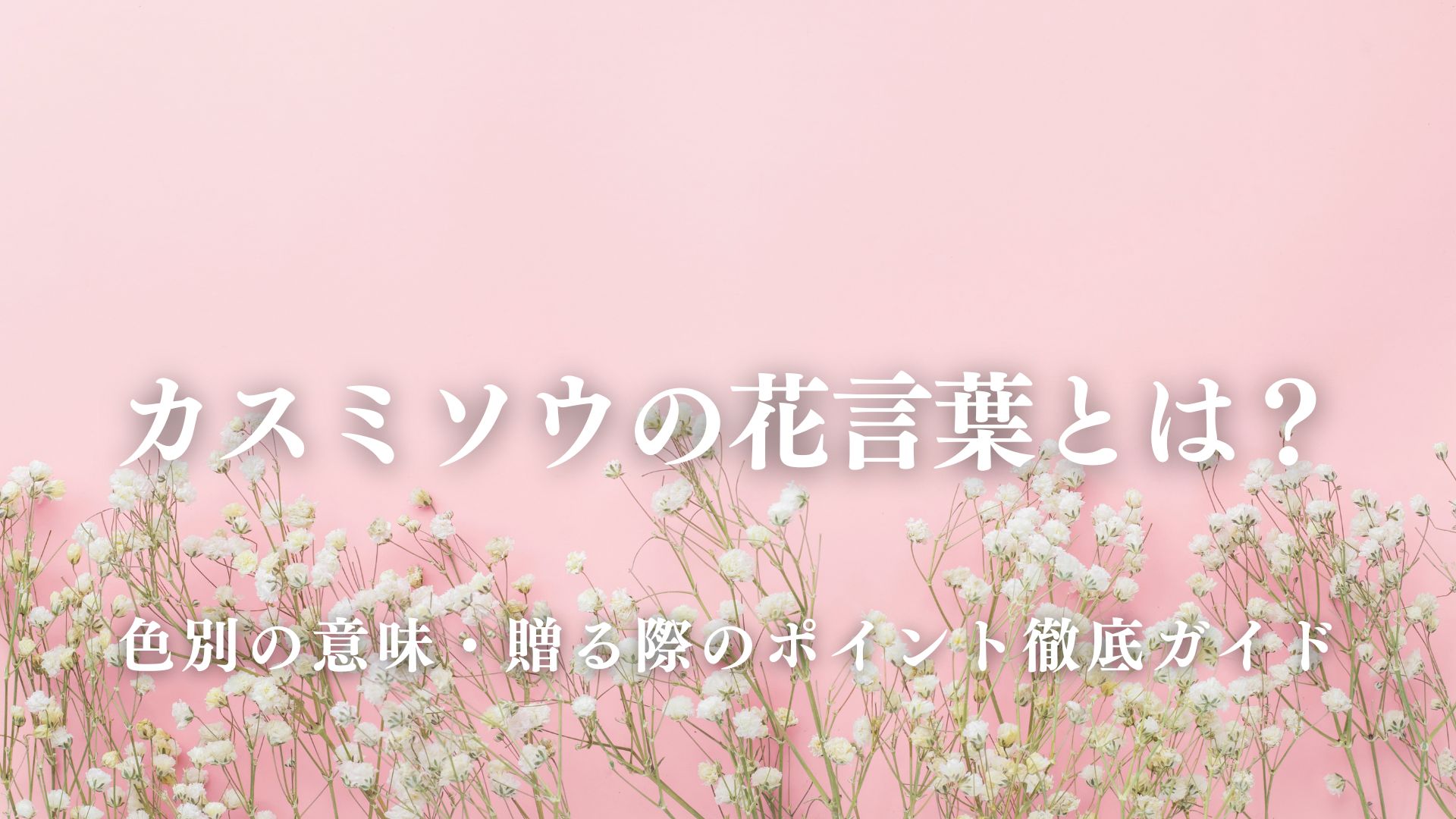 カスミソウの花言葉とは？色別の意味・贈る際のポイント徹底ガイド