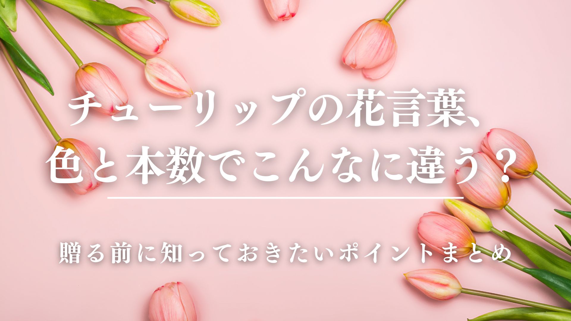 チューリップの花言葉、色と本数でこんなに違う？贈る前に知っておきたいポイントまとめ